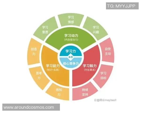 以knight中路为核心解析团队战术体系与版本适应策略