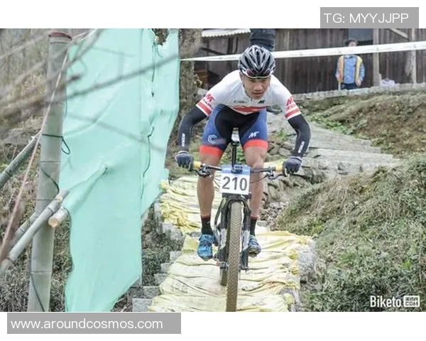 探索体育运动的无限可能:从竞技精神到健康生活的全面分析