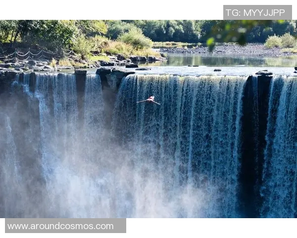 跳水运动的魅力与挑战：探索高空飞跃中的技术、心理与体能极限